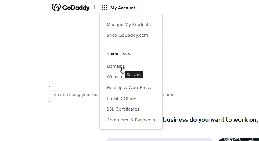 Clicking Domains under Quick Links