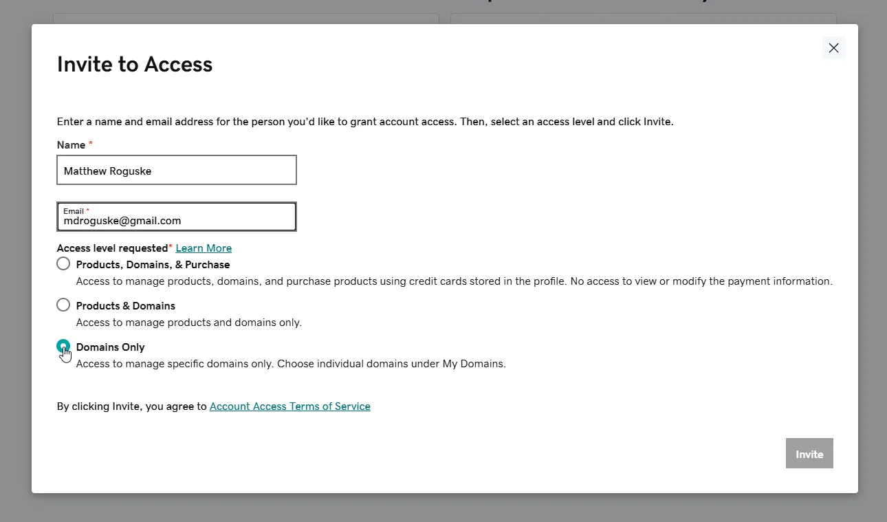 Filling in the delegate name and email and choosing Domains Only